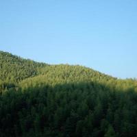 Mountain tops covered with vegetation photo