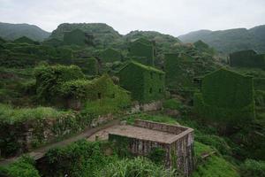 Abandoned building covered with green vines photo