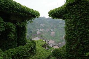 Abandoned building covered with green vines photo