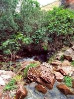 sereno viaje mediante el fluido aguas de un tranquilo Valle - descubrir el natural belleza y calmante sonidos de naturaleza corrientes foto