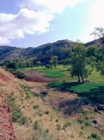 Cattle grazing field a journey into the heart of nature's tranquil and picturesque scenes photo