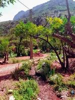 Peaceful stroll along the serene footpath in the heart of nature tranquil and picturesque countryside landscapes photo