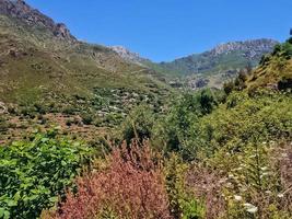 embarcar en un viaje mediante asombroso rural montaña paisajes, en el corazón de naturaleza tranquilo y majestuoso puntos de vista foto