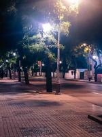 Illuminated roadside walkway through a serene of trees at night photo