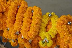 Marigolds, lotus flowers are brought to pay homage to the Lord Buddha. photo