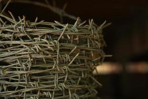 Old barbed wire wrapped in a circle photo