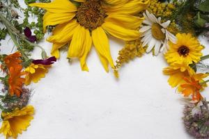 Frame from yellow summer field flowers on a light background. Medicinal plants photo