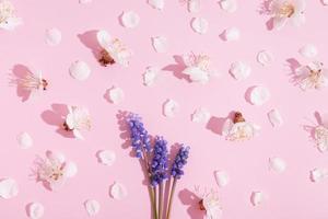 Top view flowers and petals on pink background with hard shadows. Spring blossom pattern photo