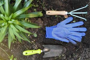 Garden gloves and garden tools photo