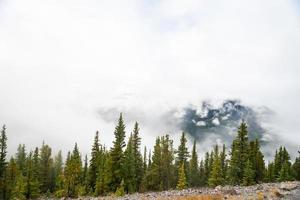 Sulphur mountain in Alberta, Canada on a moody autumn day photo