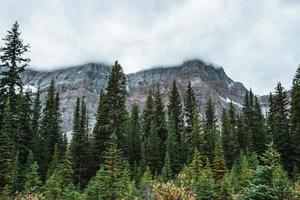 Majestic mountain landscape in Canada during autumn photo