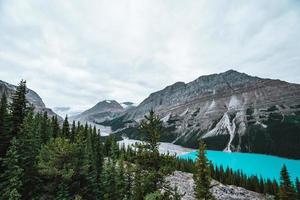 Majestic Peyto Lake in Alberta, Canada with stunning turquoise water photo