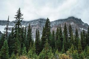 Majestic mountain landscape in Canada during autumn photo