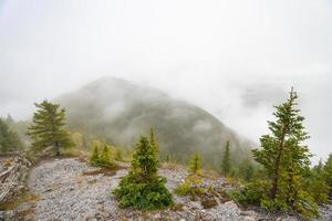 Sulphur mountain in Alberta, Canada on a moody autumn day photo