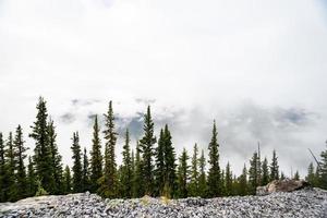 Sulphur mountain in Alberta, Canada on a moody autumn day photo