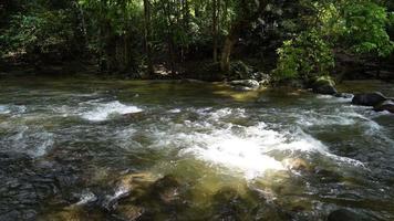 Wald Wasser Streams und Felsen video