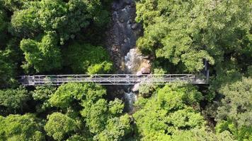 aérien mouche vers l'avant et Regardez vers le bas canopée arbre Haut marcher sungai sédim video