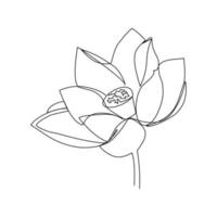 Lotus vector illustration drawn in line art style