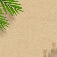 Sandy Beach Texture background with Coconut Palm leaves shadow and Footprints,Vector horizon Backdrop background with barefoot and tropical leaf silhouette on Brown Beach sand dune for Summer beach