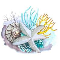 Watercolor vector ocean composition. Starfish, corals, algae,shell