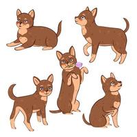 Set of cute chihuahua dogs isolated on white background. Vector graphics.