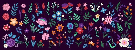 Set of floral design elements. Leaves, flowers, berries, branches. Vector graphics.