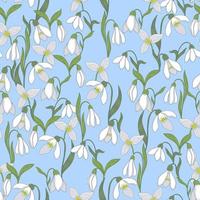 Seamless pattern with snowdrop flowers on a blue background. Vector graphics.