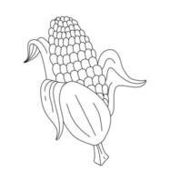 Corn Doodle Vector illustration coloring book for Kids