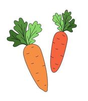 Carrot doodle Vector color illustration isolated on white background