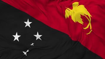 Papua New Guinea Flag Seamless Looping Background, Looped Bump Texture Cloth Waving Slow Motion, 3D Rendering video