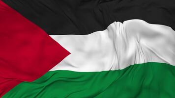 palestina flagga sömlös looping bakgrund, looped stöta textur trasa vinka långsam rörelse, 3d tolkning video
