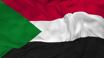Sudan Flag Seamless Looping Background, Looped Bump Texture Cloth Waving Slow Motion, 3D Rendering video
