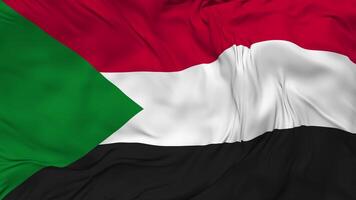 Sudan Flagge nahtlos Schleifen Hintergrund, geloopt stoßen Textur Stoff winken schleppend Bewegung, 3d Rendern video