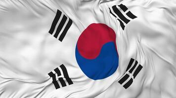 South Korea Flag Seamless Looping Background, Looped Bump Texture Cloth Waving Slow Motion, 3D Rendering video