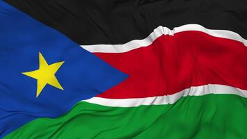 South Sudan Flag Seamless Looping Background, Looped Bump Texture Cloth Waving Slow Motion, 3D Rendering video