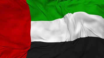 United Arab Emirates Flag Seamless Looping Background, Looped Bump Texture Cloth Waving Slow Motion, 3D Rendering video