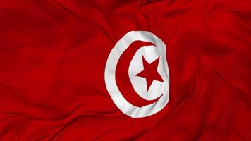 Tunisia Flag Seamless Looping Background, Looped Bump Texture Cloth Waving Slow Motion, 3D Rendering video