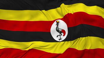 Uganda bandiera senza soluzione di continuità looping sfondo, loop urto struttura stoffa agitando lento movimento, 3d interpretazione video