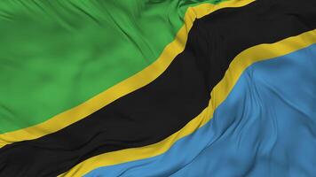 Tanzania Flag Seamless Looping Background, Looped Bump Texture Cloth Waving Slow Motion, 3D Rendering video