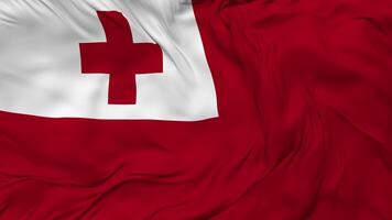 Tonga Flagge nahtlos Schleifen Hintergrund, geloopt stoßen Textur Stoff winken schleppend Bewegung, 3d Rendern video