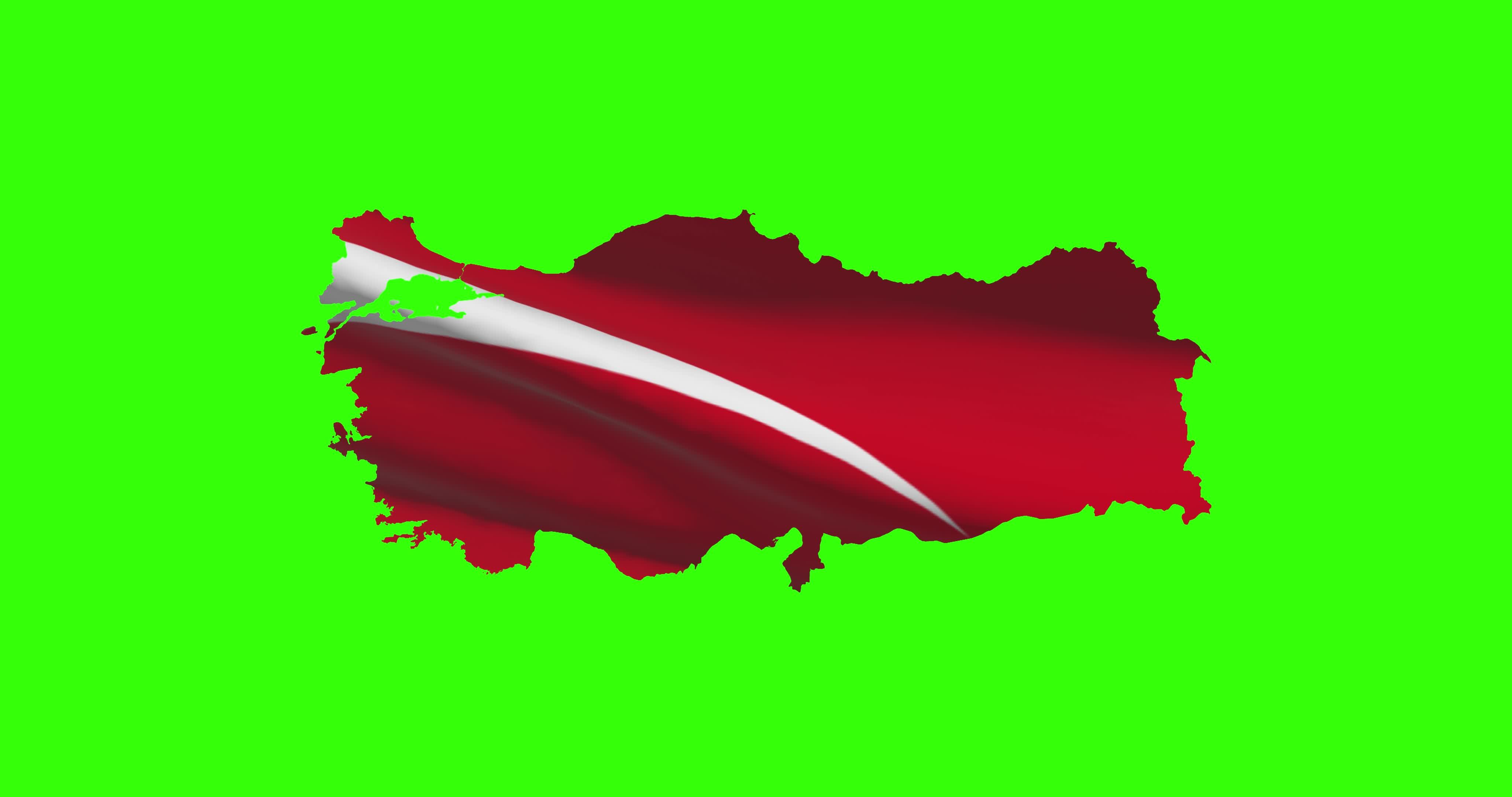 Turkey Penis: Size, Shape, And Surprising Facts - 4wsld7t