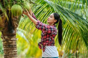 Portrait of Happy Asian farmer woman check quality of coconut in farm and showing natural fruit hanging on palm tree. Agricultural and technology concepts. photo