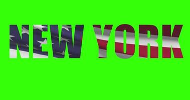 nuevo York estado nombre en verde pantalla animación. Estados Unidos estado bandera ondulación video