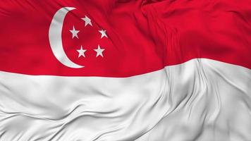 Singapore Flag Seamless Looping Background, Looped Bump Texture Cloth Waving Slow Motion, 3D Rendering video