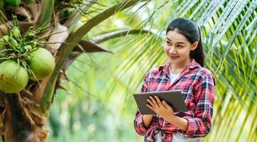 Portrait of Happy Asian young  farmer woman check quality of coconut in farm and using tablet computer to take orders online for customers. Agricultural and technology concepts. photo