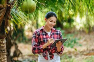 Portrait of Happy Asian young  farmer woman check quality of coconut in farm and using tablet computer to take orders online for customers. Agricultural and technology concepts. photo