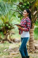 Portrait of Happy Asian young  farmer woman check quality of coconut in farm and using tablet computer to take orders online for customers. Agricultural and technology concepts. photo