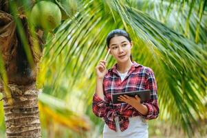 Portrait of Happy Asian young  farmer woman check quality of coconut in farm and thinking while standing and holding tablet. Agricultural and technology concepts. photo