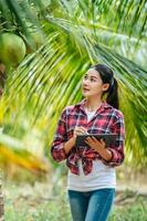 Portrait of Happy Asian young  farmer woman check quality of coconut in farm and using tablet computer to take orders online for customers. Agricultural and technology concepts. photo