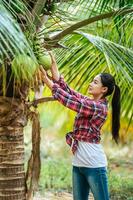 Portrait of Happy Asian farmer woman check quality of coconut in farm and showing natural fruit hanging on palm tree. Agricultural and technology concepts. photo